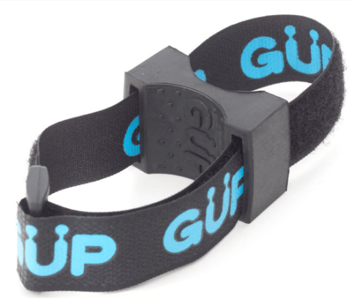 Gup Holster.png